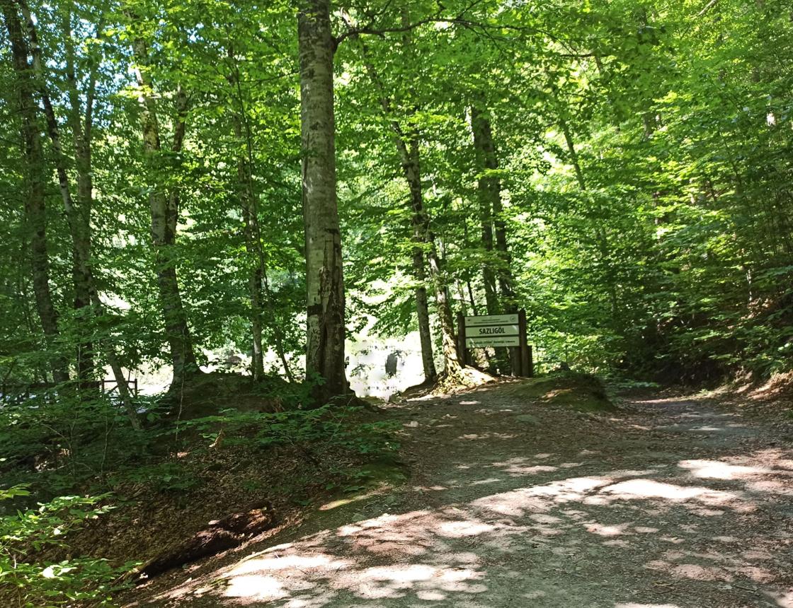 التوجه إلى اوزنجول و عمل جولة اوزنغول