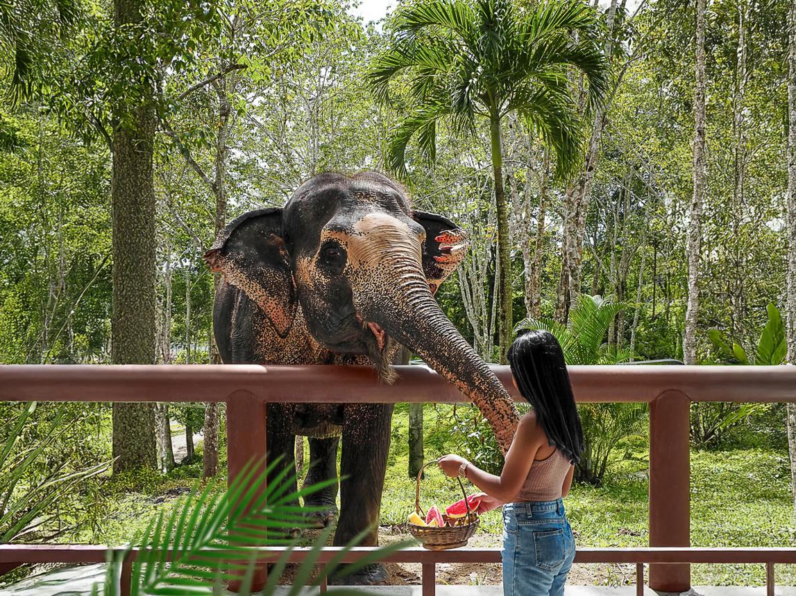 جولة ترفيهية