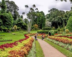 كاندي – ليلتان