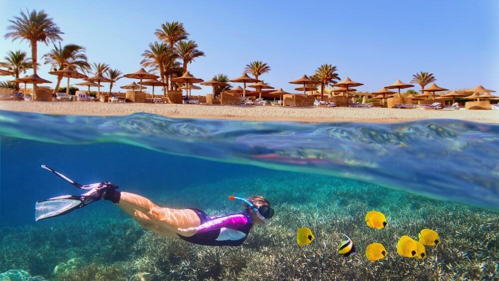 💎 Luxury Marsa Alam Trip – Enchanting Atmosphere and Complete Comfort 🌊 🏖️